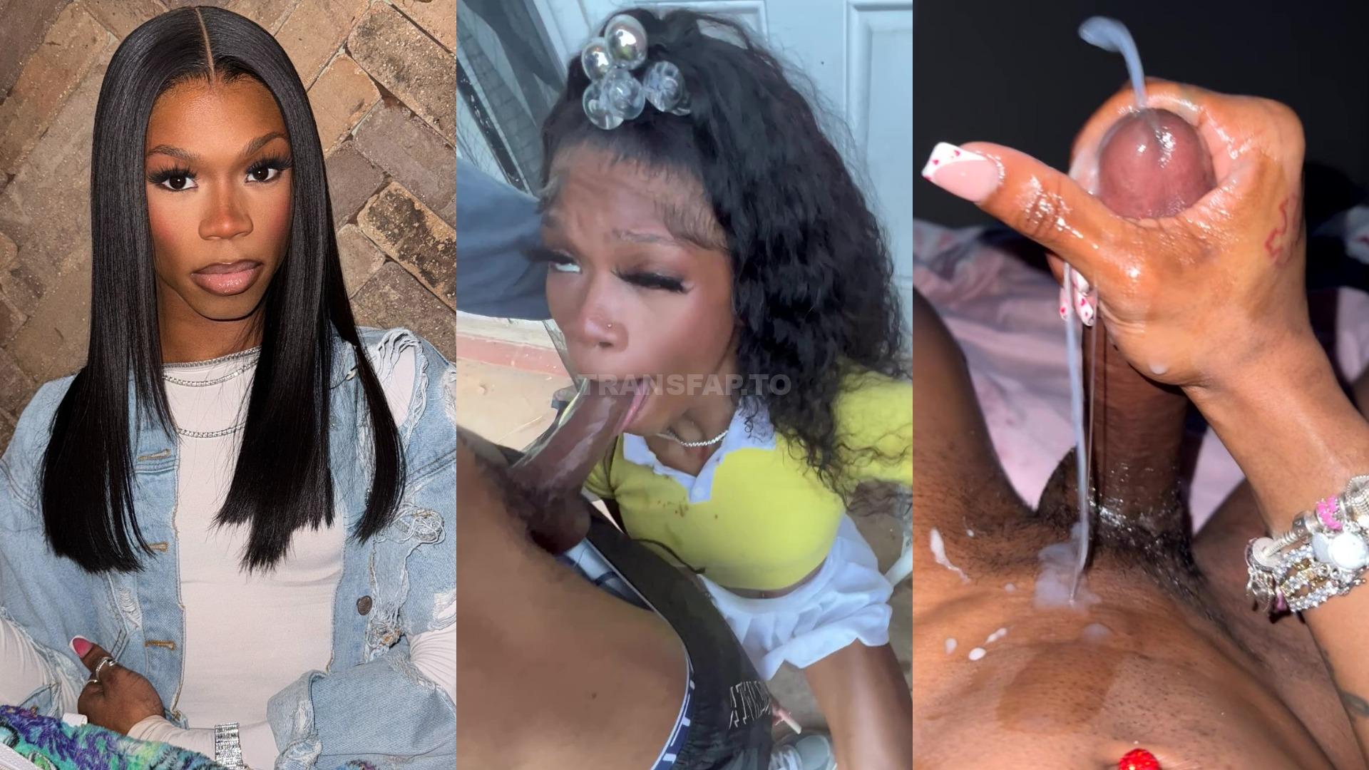 Therealtsdiamond Onlyfans Leaked Folder – 325 Videos